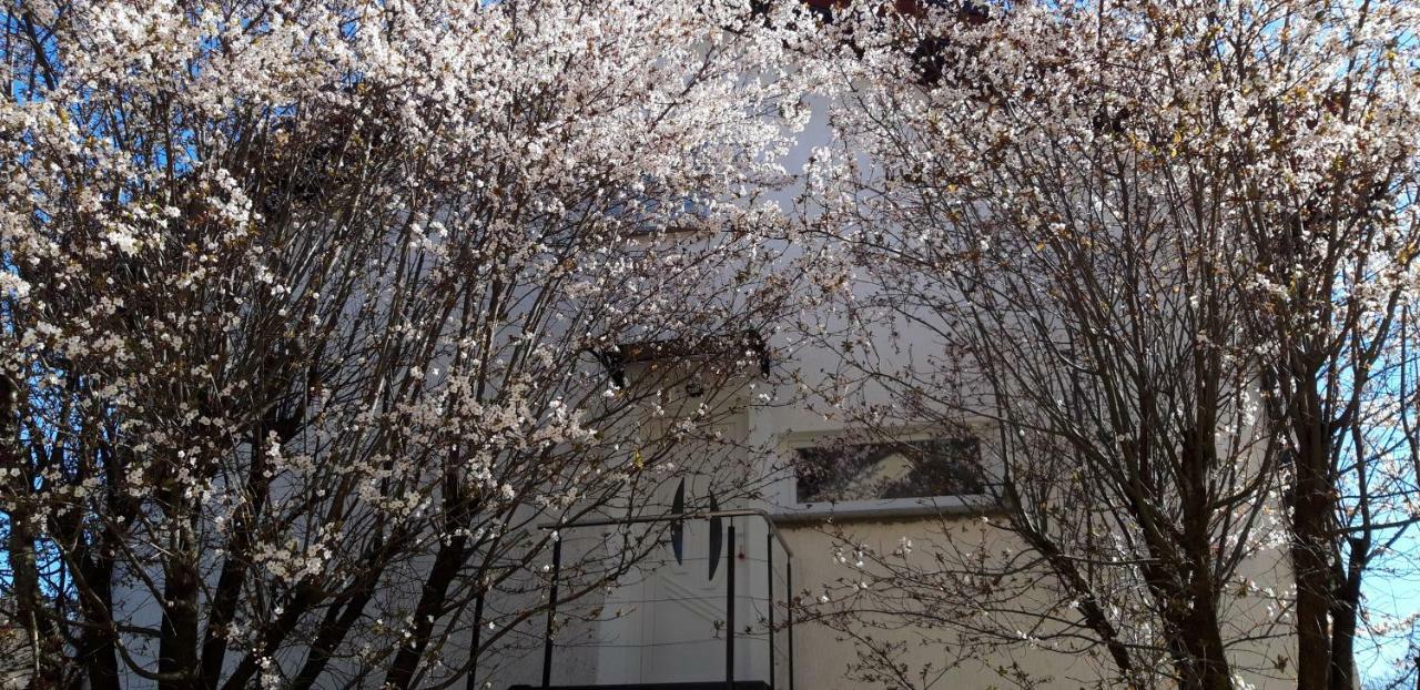 Apple Tree Daire Zagreb Dış mekan fotoğraf